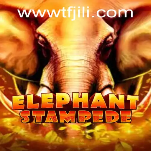 Exploring ElephantStampede Game